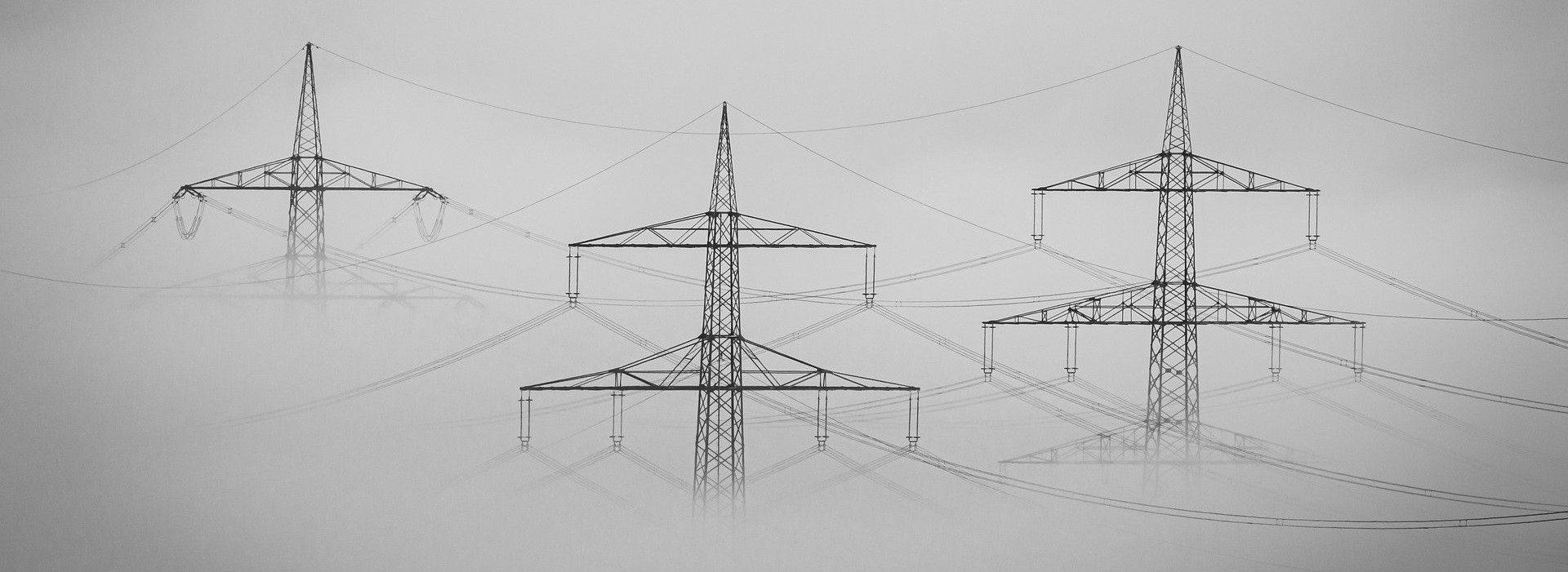 Rafael Osswald im erzo-Newsletter